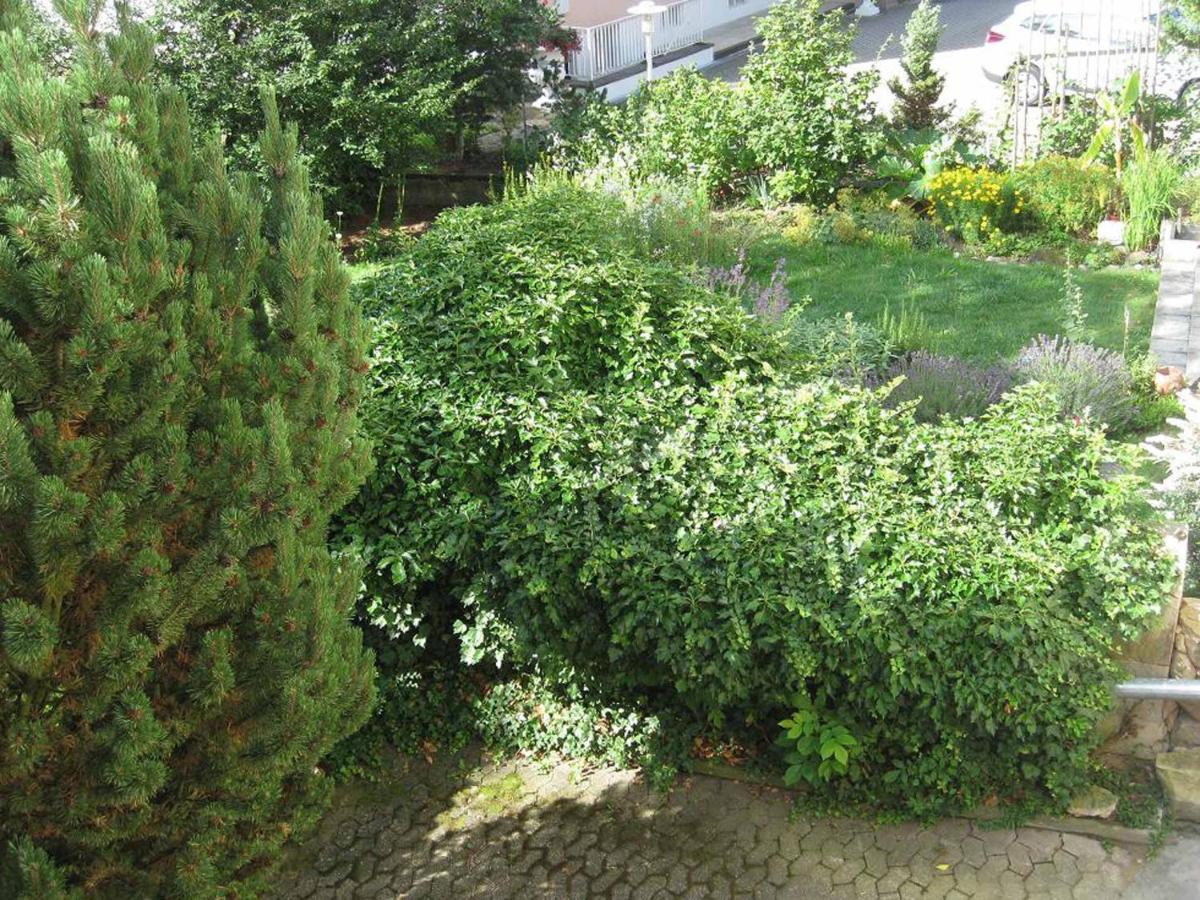 Apartment Am Europakanal Fürth المظهر الخارجي الصورة
